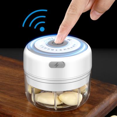 China Mini Grade, Cordless Edible Portable Electric Food Stored Chopper Garlic Masher Electric Garlic Garlic Crusher 250ML With USB Radio for sale