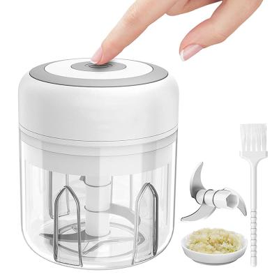 China Stored Vegetable Spice Chopper Kitchen Accessories 100/250ml Food Press Meat Grinder Seasoning Grinder Mini Electric Garlic Grinder Portable for sale