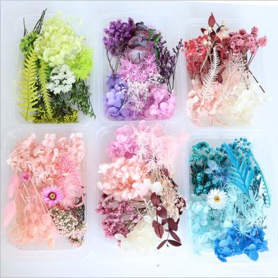 China Natural touch diy flower dry storage box for DIY teaching and dry flower crafts for sale