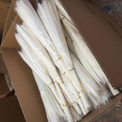 China Wholesale Natural Touch Flower Natural Dry Pampas Grass For Wedding Decor for sale