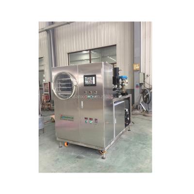 China High Efficiency Potato Vacuum Freeze Drying Machine Stainless Steel Low Price Dryer Freeze Dryer for sale