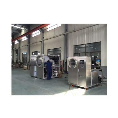 China Medicine Processing Industrial Pilot Vacuum Freeze Dryer Freeze Dryer Price for sale