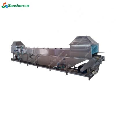 China food & Beverage Factory China Spinach Blanching Machine for sale