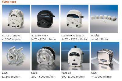 China Pump Head,Laboratorial Peristaltic Pump, Industrial Peristaltic Pump, Dispensing And Filling Peristaltic Pump System for sale