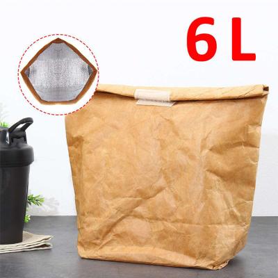 China High quality waterproof reusable washable lunch packaging tyvek cooler bag paper for picnic for sale