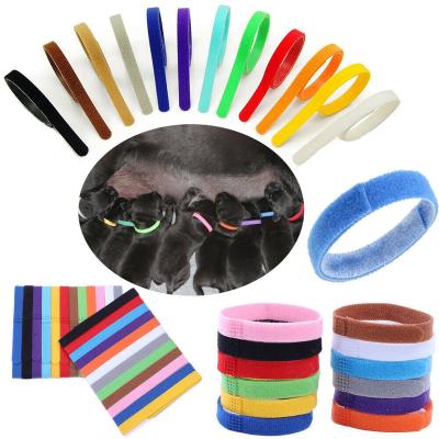 China Reflective Nylon Puppy Collars Identification 12 Colours Band Soft Adjustable Whelp ID for sale