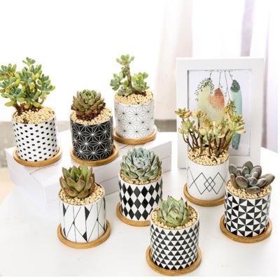 China Wholesale Cheap Not Easily Deformed Small Mini Ceramic Flower Pot Wholesale Ceramic Pot Home Decor Flower Pot for sale