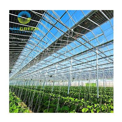 China Fruit Vegetable Flowers Planting Premium Quality PE Film Glass Single-span Greenhouses Premium Quality Commercial Agriculture Used Hydroponics System Greenhouse for sale