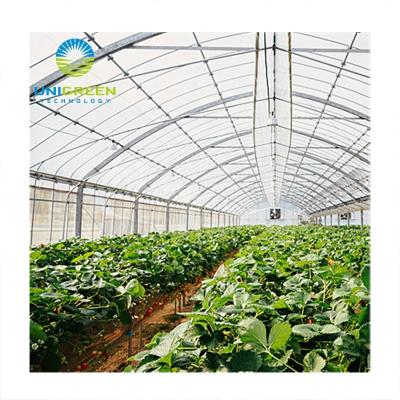 China Vegetable Fruit Flowers Planting Professional Manufacturers Galvanized Steel Frame Glass Greenhouse Solar Flowers Plant Agricultural Greenhouse for sale