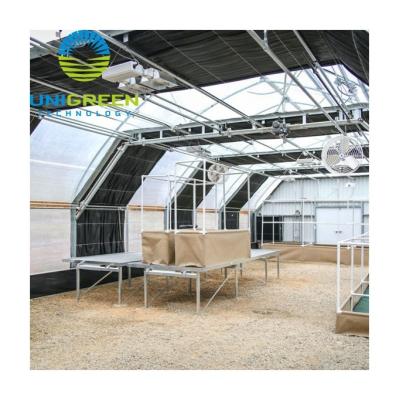 China Fruits Vegetable Flowers Planting High Efficient Agriculture Blackout Deprivation Smart Automated Greenhouse Greenhouse Light Garden For Commercial for sale