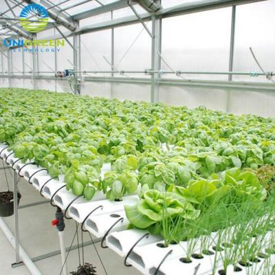 China Fruit Vegetable Flowers Hydroponic Growing System Food Grade PVCU NFT Channels On Sale for sale