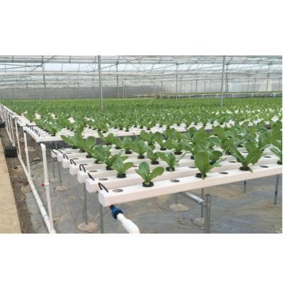 China 2022 PVC Greenhouses PVC Pipes Hydroponics NFT Agricultural Growing System For Sale for sale