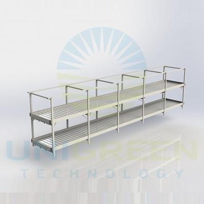 China Automatic Irrigation Galvanized Two Layer Bench Plant Stationary Steel Pipe Backflow And Elevate Hydroponic Growing Table for sale