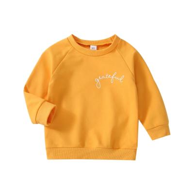 China Breathable Boy Girl Winter Clothes Autumn Sweater Tops Clothes Toddler Ropa De Bebe Baby Girls Boys Long Sleeve Hoodie Baby Gift for sale