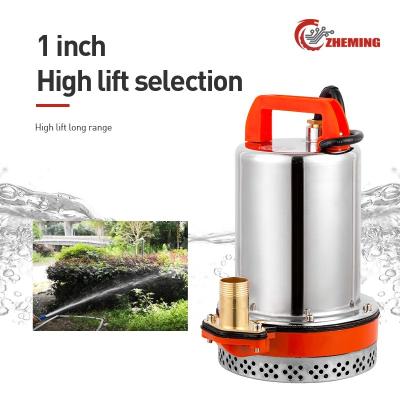 China Irrigation and Agriculture DC Solar Water Pump 12v24v48v60v72v High Lift and Large Flow Household Dc Submersible Agricultural Irrigation Pump for sale