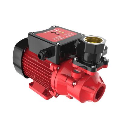 China Family homes small booster pump qb60 110V60Hz 220V50Hz vortex pump motor large household high lift intelligent pure copper flow booster pump for sale