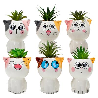 China Cute Creative Pastoral Succulent Painted Ornaments Indoor Childish Pet Cute Simple Cure Cat Flower Face Shape Big-Eyed Vase for sale