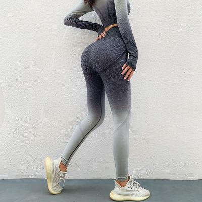 China Wholesale Custom Printing Breathable Logo Workout Long Sleeve Seamless Leggings Eco Friendly Yoga Clothing Crop Top Sports Bra for sale