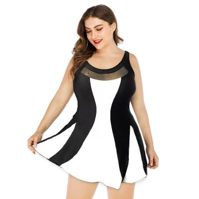 China Breathable Two Piece Swimsuit Women Tankini Mesh Patchwork Swimdress Swimwear Women Plus Size Printing Swimjupmsuit Swimsuit for sale