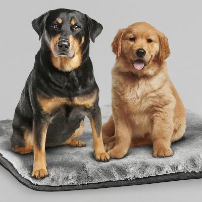 China Microplush Polyester Pet Heating Pad Indoor Carbon Fiber Dog House Heating Pad for sale