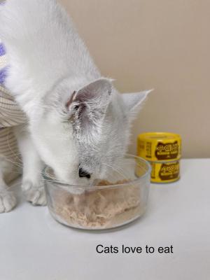 중국 Hydrating and Beautifying Chicken Healthy Pet Food Clean And Sanitary for Cats Feed Directly 판매용