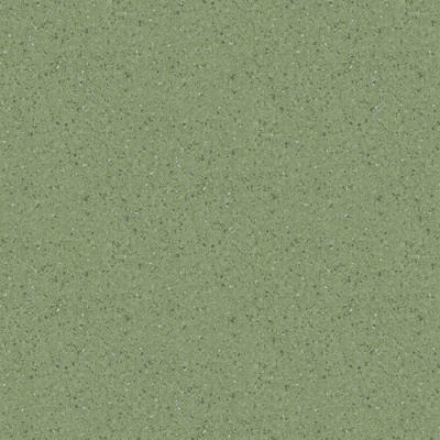 China Wear Resistant Homogeneous Vinyl Flooring 2mm 3mm Waterproof  anti slip for sale