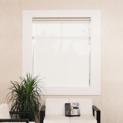 China Day And Night Fashion Style Minimalist Double Layer Roller Blind Interior Room for sale