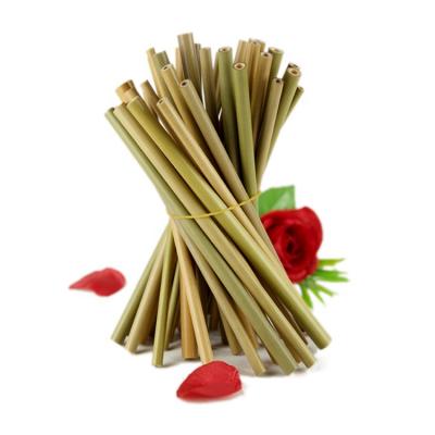 China Straw Biodegradable Reusable Wholesale 100% Natural Green Bamboo Plant Based 20cm for sale