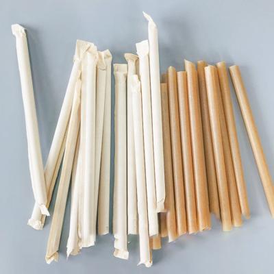 China Sugarcane 12mm Biodegradable Biodegradable Straw Bagasse Compostable Straw Bubble Tea 50PCS (Unwrapped) for sale