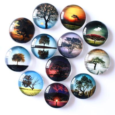 China Shape 35mm Lovely Landscape Soft Fishing Tree Fridge Magnets Stickers Large Round Glass Crystal 3D Magnet For Fridge for sale