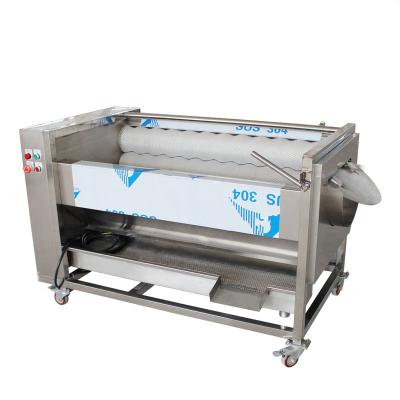 China factory automatic ginger washing machine price/ginger peeling machine for sale