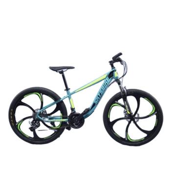 China Hot Selling Outdoor Sports Double Shock Variable Speezd Bicycle Mountain Bike, Kids Bike for sale