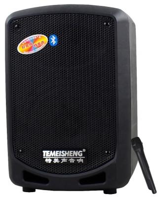 China Good price wireless 6.5 inch mini speaker wireless microphone hot sale in market for sale