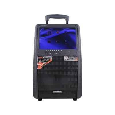 China Home PORTABLE Portable Active Karaoke Subwoofer TEMEISHENG Rechargeable Speaker with 15 inch LCD Player for sale