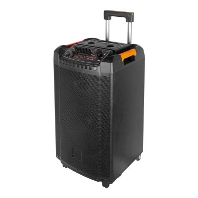 China No Temeisheng Home Theater System 12 Inch Popular Portable Outdoor DJ Cart Speaker for sale