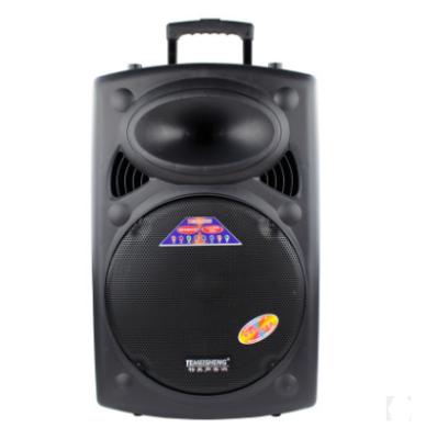 China Temeisheng Wireless Active Trolley Portable PA Speaker With Microphone for sale