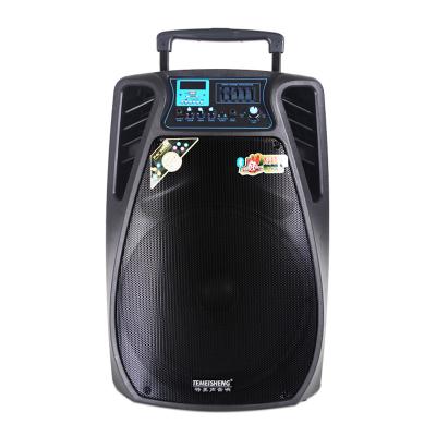 China HOT SELLING TEMEISHENG PORTABLE TRUCK SPEAKER 15 INCH MADE IN CHINA for sale