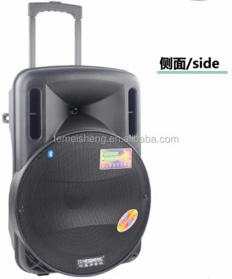 China No Temeisheng 150w Subwoofer Speaker Box Outdoor Portable Sound System Trolley Speakers / Party Speaker for sale