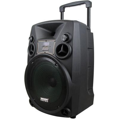 China EZCast 8 Inch Trolley Portable Speaker Party Plastic Active Subwoofer Speakers for sale