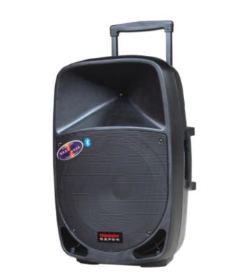 China Radio 10 Inch Portable BT Stereo Professional Multimedia PA Stereo Rechargeable Wireless Portable Trolley Speaker for sale