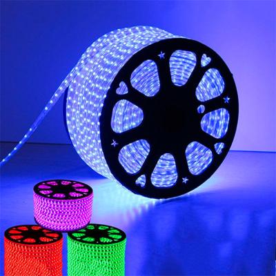 China Hotel wholesale led strip light RGB 220V 110V led strip light for sale