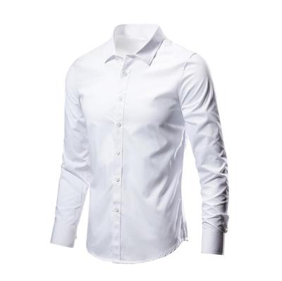 China Anti-Wrinkle Slim Fit Wrinkle Resistant Long Sleeve Dress Shirt For Men for sale