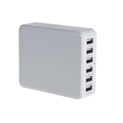 Chine 6 accessoires d'adaptateur de puissance de voyage de chargeur d'USB de port pour des téléphones portables/comprimé à vendre