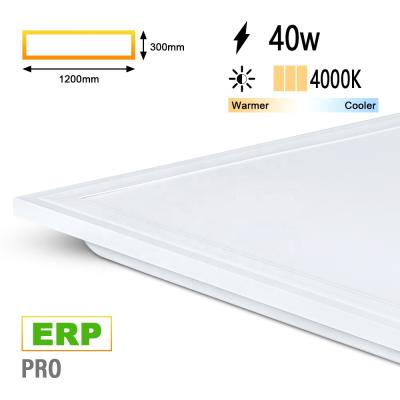 China Modern SK Lighting Version Backlite 1200x300 Ceiling Panel Light 40W 4000K 120Lm/W IP40 Five Year Warranty CE PRO ERP RCM Flat for sale