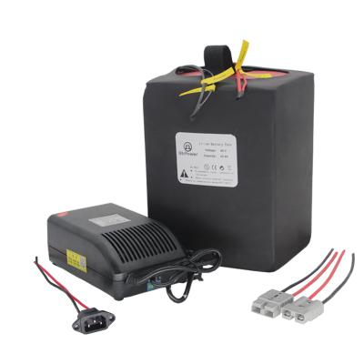 China Hot Sales Customized 48v Ebike Battery 45ah Lithium Ion Tricycle Battery With Bms And Fast Charger For 500w-2500w 45ah Motor for sale