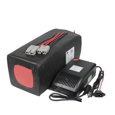 China Perfect Quality 48v Ebike Battery 50ah Lithium Ion Li-ion Battery with 50a Bms and 5a Fast Charger for 500w-2000w 50ah Motor for sale