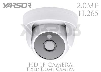 China Indoor Waterproof ONVIF Night Vision IP Surveillance Camera With Remote Viewing for sale