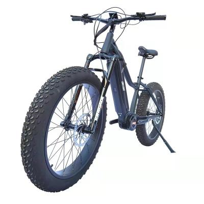 China Long Range Aluminum Alloy 48V Tire Ebike Fat 26 Inch Off-Road Beach Cruiser Electric Bicycle 1000W Mountain Bike for sale