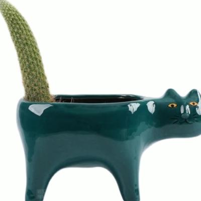 China China Contemporary Cute Cat Tail Ceramic Flower Pot Professional Manufacture for sale