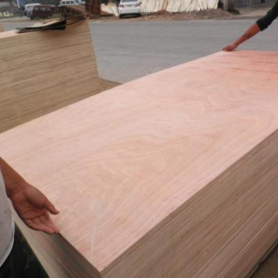 China Linyi Plywood Factory Contemporary Marine Plywood Commercial Plywood Sheet for sale